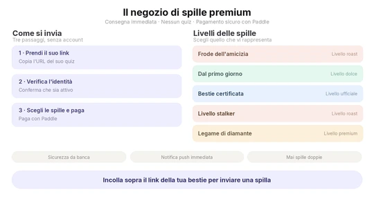 Infografica del Friendship Badges Shop