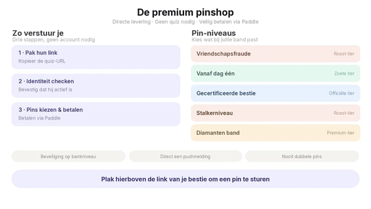 Vriendschapsbadges Shop infographic