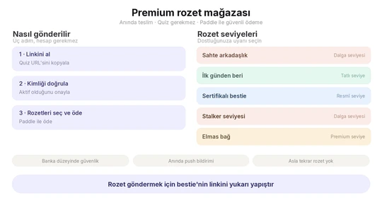 Arkadaşlık Rozeti Mağazası İnfografiği
